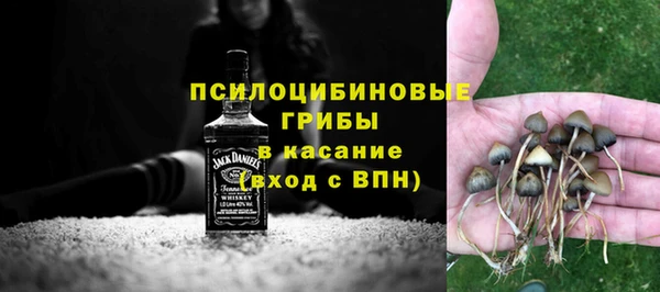 Альфа ПВП Алзамай