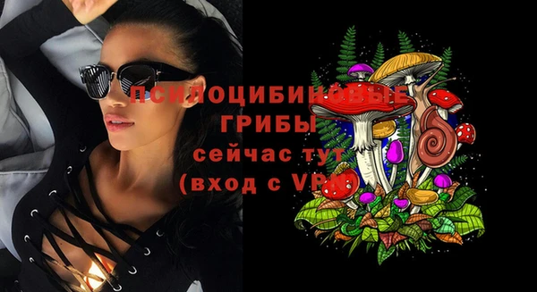 стаф Арсеньев