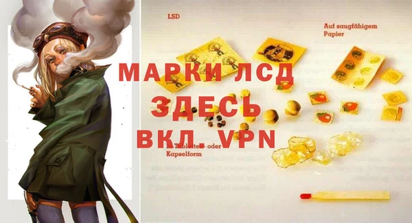 стаф Арсеньев