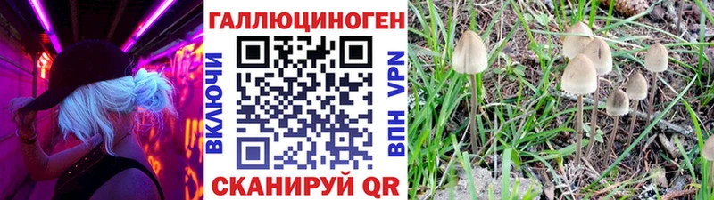 дарнет шоп  Калязин  Галлюциногенные грибы ЛСД 